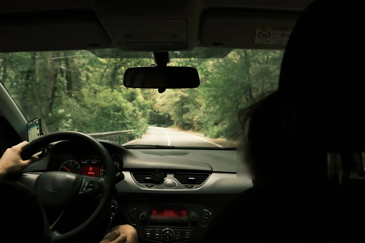 A man driving a car through the woods